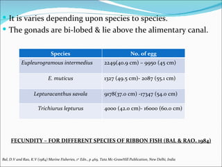  It is varies depending upon species to species.
 The gonads are bi-lobed & lie above the alimentary canal.


                              Species                                            No. of egg
            Eupleurogramous intermedius                         2249(40.9 cm) – 9950 (45 cm)

                             E. muticus                         1327 (49.5 cm)- 2087 (55.1 cm)

                    Lepturacanthus savala                       9178(37.0 cm) -17347 (54.0 cm)

                      Trichiurus lepturus                       4000 (42.0 cm)- 16000 (60.0 cm)




     FECUNDITY – FOR DIFFERENT SPECIES OF RIBBON FISH (BAL & RAO, 1984)


Bal, D.V and Rao, K.V (1984) Marine Fisheries, 1st Edn., p 469, Tata Mc-GrawHill Publication, New Delhi, India
 