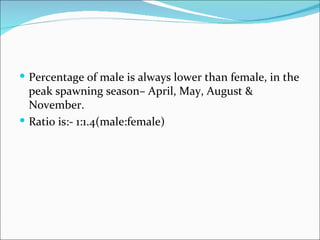  Percentage of male is always lower than female, in the
  peak spawning season– April, May, August &
  November.
 Ratio is:- 1:1.4(male:female)
 