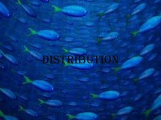 dIsTRIbUTION
 