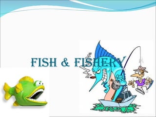 FIsH & FIsHERY
 