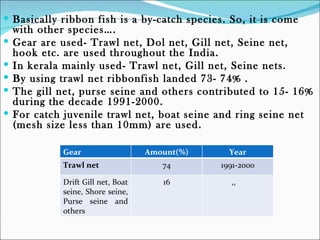  Basically ribbon fish is a by-catch species. So, it is come
    with other species….
   Gear are used- Trawl net, Dol net, Gill net, Seine net,
    hook etc. are used throughout the India.
   In kerala mainly used- Trawl net, Gill net, Seine nets.
   By using trawl net ribbonfish landed 73- 74% .
   The gill net, purse seine and others contributed to 15- 16%
    during the decade 1991-2000.
   For catch juvenile trawl net, boat seine and ring seine net
    (mesh size less than 10mm) are used.

             Gear                   Amount(%)     Year
             Trawl net                 74       1991-2000

             Drift Gill net, Boat      16         ,,
             seine, Shore seine,
             Purse seine and
             others
 