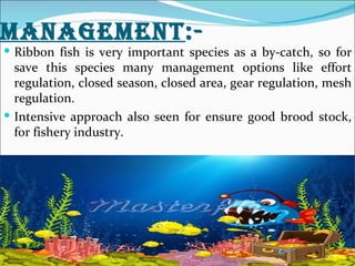 MANAGEMENT:-
 Ribbon fish is very important species as a by-catch, so for
  save this species many management options like effort
  regulation, closed season, closed area, gear regulation, mesh
  regulation.
 Intensive approach also seen for ensure good brood stock,
  for fishery industry.
 