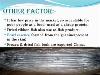 OTHER FAcTOR:-
 It has low price in the market, so acceptable for
  poor people as a food- used as a cheap protein.
 Dried ribbon fish also use as fish product.
 Pearl essence formed from the guanine(present
  in the skin)
 Frozen & dried fish both are exported China,
  Japan and other southeast Asian countries.
 