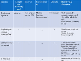 Species        Length Size-wt.         Environme-       Climate      Identifying
                in 1st                 nt                            character
               maturity
                (cm)
Trichiurus     46.3 -47   Max length : Marine;         Subtropical   •Body extremely
lepturus                  234 cm (M) brackish;                       elongate, compressed.
                                       benthopelagic                 •Dorsal fin relatively
                                                                     high.
                                                                     •Dorsal spine 3;soft ray
                                                                     130-135


Eupleurogra-       -           -             ,,             -        •Dorsal spine 3 & soft ray
                                                                     123-129.
-mmus                                                                •Caudal fin absent.
intermedius                                                          •Snout elongated.




Lepturacanth       -           -             ,,             -        • Lateral line running
                                                                     nearer the ventral than the
-us savala                                                           dorsal side of the body.
                                                                     • Pelvic and caudal fins
                                                                     absent; anal fin reduced to
                                                                     spinules .
                                                                     •Dorsal spine 3-4 & soft-ray
                                                                     110 -120

E. muticus         -           -             ,,             -        •Dorsal spine 3& soft ray 139
                                                                     -147
 