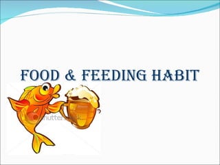 FOOd & FEEdING HAbIT
 