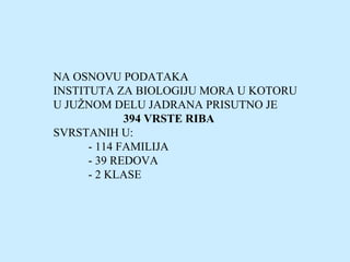 NA OSNOVU PODATAKA
INSTITUTA ZA BIOLOGIJU MORA U KOTORU
U JUŽNOM DELU JADRANA PRISUTNO JE
394 VRSTE RIBA
SVRSTANIH U:
- 114 FAMILIJA
- 39 REDOVA
- 2 KLASE
 
