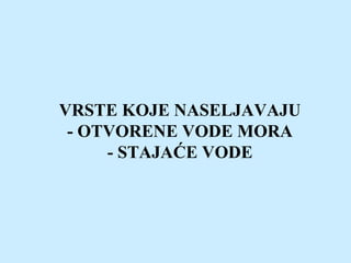 VRSTE KOJE NASELJAVAJU
- OTVORENE VODE MORA
- STAJAĆE VODE
 