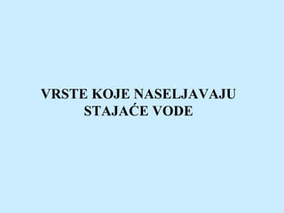 VRSTE KOJE NASELJAVAJU
STAJAĆE VODE
 