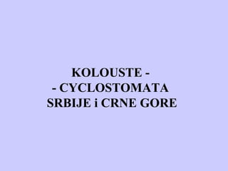 KOLOUSTE -
- CYCLOSTOMATA
SRBIJE i CRNE GORE
 