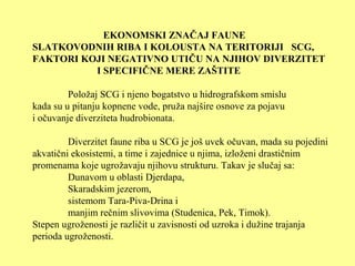EKONOMSKI ZNAČAJ FAUNE
SLATKOVODNIH RIBA I KOLOUSTA NA TERITORIJI SCG,
FAKTORI KOJI NEGATIVNO UTIČU NA NJIHOV DIVERZITET
I SPECIFIČNE MERE ZAŠTITE
Položaj SCG i njeno bogatstvo u hidrografskom smislu
kada su u pitanju kopnene vode, pruža najšire osnove za pojavu
i očuvanje diverziteta hudrobionata.
Diverzitet faune riba u SCG je još uvek očuvan, mada su pojedini
akvatični ekosistemi, a time i zajednice u njima, izloženi drastičnim
promenama koje ugrožavaju njihovu strukturu. Takav je slučaj sa:
Dunavom u oblasti Djerdapa,
Skaradskim jezerom,
sistemom Tara-Piva-Drina i
manjim rečnim slivovima (Studenica, Pek, Timok).
Stepen ugroženosti je različit u zavisnosti od uzroka i dužine trajanja
perioda ugroženosti.
 
