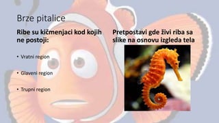 Brze pitalice
Ribe su kičmenjaci kod kojih
ne postoji:
• Vratni region
• Glaveni region
• Trupni region
Pretpostavi gde živi riba sa
slike na osnovu izgleda tela
 