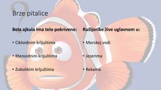 Brze pitalice
Bela ajkula ima telo pokriveno:
• Cikloidnim krljuštima
• Ktenoidnim krljuštima
• Zubolikim krljuštima
Rušljoribe žive uglavnom u:
• Morskoj vodi
• Jezerima
• Rekama
 
