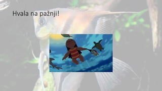 Hvala na pažnji!
 