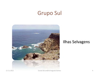 Grupo Sul



                                               Ilhas Selvagens




11-11-2011   Escola Secundária Augusto Gomes                     4
 