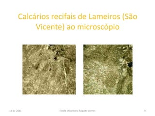 Calcários recifais de Lameiros (São
            Vicente) ao microscópio




11-11-2011         Escola Secundária Augusto Gomes   8
 