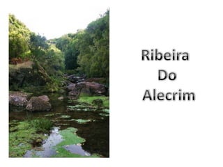 Ribeira Do Alecrim