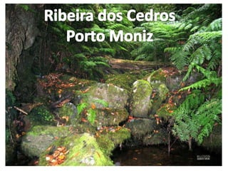 Ribeira dos CedrosPorto Moniz