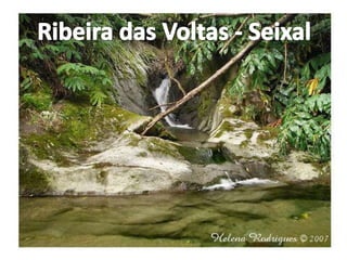 Ribeira das Voltas - Seixal