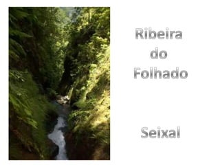 Ribeira do FolhadoSeixal