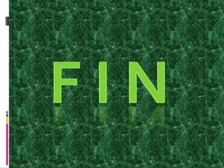 F i n