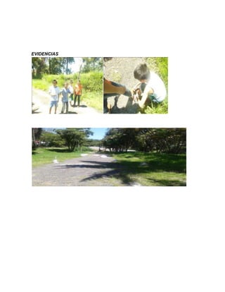 EVIDENCIAS
 