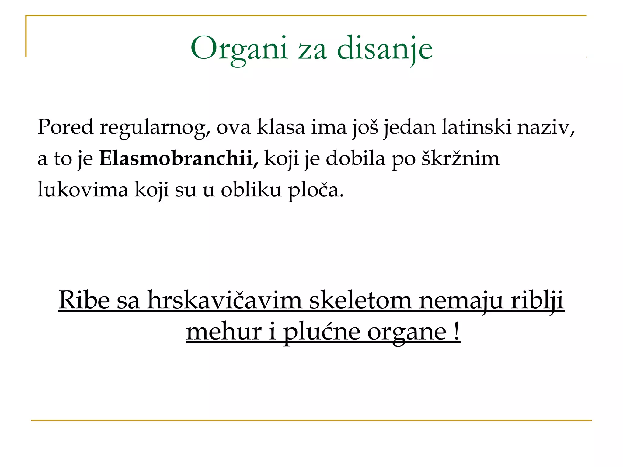 Organi za disanje
Pored regularnog, ova klasa ima još jedan latinski naziv,
a to je Elasmobranchii, koji je dobila po škržnim
lukovima koji su u obliku ploča.
Ribe sa hrskavičavim skeletom nemaju riblji
mehur i plućne organe !
 