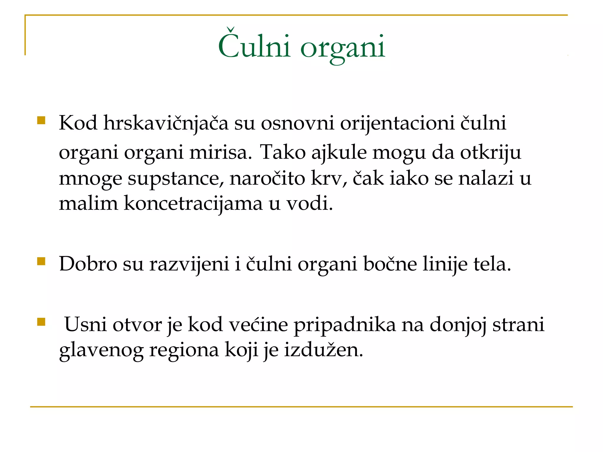 Čulni organi
 Kod hrskavičnjača su osnovni orijentacioni čulni
organi organi mirisa. Tako ajkule mogu da otkriju
mnoge supstance, naročito krv, čak iako se nalazi u
malim koncetracijama u vodi.
 Dobro su razvijeni i čulni organi bočne linije tela.
 Usni otvor je kod većine pripadnika na donjoj strani
glavenog regiona koji je izdužen.
 