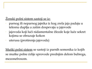 Ženski polni sistem sastoji se iz:
- parnog ili neparnog jajnika iz kog zrela jaja padaju u
telesnu duplju a zatim dospevaju u jajovode
- jajovoda koji luči nidamentalne žlezde koje luče sekret
kojima se obrazuje kokon
- uterusa (proširenja jajovoda)
Muški polni sistem se sastoji iz parnih semenika iz kojih
se muške polne ćelije sprovode prednjim delom bubrega,
mezonefrosom.
 