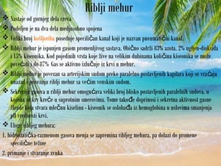 Riblji mehur
 Nastaje od gornjeg dela creva
 Podeljen je na dva dela medjusobno spojena
 Veliki broj košljoriba poseduje specifi an kanal koji je nazvan pneumati ni kanal.č č
 Riblji mehur je ispunjen gasom promenljivog sastava. Obi no sadrži 83% azota, 2% ugljen-dioksidač
i 15% kiseonika. Kod pojedinih vrsta koje žive na velikim dubinama koli ina kiseonika se možeč
pove ati i do 87%ć Gas se aktivno izlu uje iz krvi u mehur.č
 Riblji mehur je povezan sa arterijskim sudom preko paralelno postavljenih kapilara koji se vra ajuć
unazad i povezuju riblji mehur sa ve im venskim sudom.ć
 Sekreciju gasova u riblji mehur omogu ava veliki broj blisko postavljenih paralelnih sudova, uć
kojima se krv kre e u suprotnim smerovima. Tome tako e doprinosi i sekretna aktivnost gasneć đ
žlezde koja stvara mle nu kiselinu - kiseonik se osloba a iz hemoglobina u uslovima smanjenjač đ
pH vrednosti krvi.
 Uloge ribljeg mehura:
1. hidrostati ka-razmenom gasova menja se zapremina ribljeg mehura, pa dolazi do promeneč
specifi ne težineč
2. primanje i stvaranje zvuka
 