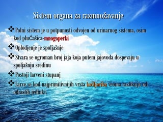 Sistem organa za razmnožavanjeSistem organa za razmnožavanje
Polni sistem je u potpunosti odvojen od urinarnog sistema, osimPolni sistem je u potpunosti odvojen od urinarnog sistema, osim
kod plu ašica-ćkod plu ašica-ć mnogoperkimnogoperki
Oplodjenje je spoljašnjeOplodjenje je spoljašnje
Stvara se ogroman broj jaja koja putem jajovoda dospevaju uStvara se ogroman broj jaja koja putem jajovoda dospevaju u
spoljašnju sredinuspoljašnju sredinu
Postoji larveni stupanjPostoji larveni stupanj
Larve se kod najprimitivnijih vrstaLarve se kod najprimitivnijih vrsta košljoribakošljoriba veoma razlikuju odveoma razlikuju od
odraslih jedinki.odraslih jedinki.
 