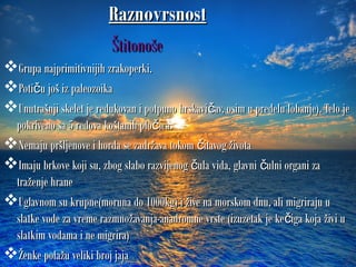 RaznovrsnostRaznovrsnost
ŠtitonošeŠtitonoše
Grupa najprimitivnijih zrakoperki.Grupa najprimitivnijih zrakoperki.
Poti u još iz paleozoikačPoti u još iz paleozoikač
Unutrašnji skelet je redukovan i potpuno hrskavi av, osim u predelu lobanje). Telo ječUnutrašnji skelet je redukovan i potpuno hrskavi av, osim u predelu lobanje). Telo ječ
pokriveno sa 5 redova koštanih plo ica.čpokriveno sa 5 redova koštanih plo ica.č
Nemaju pršljenove i horda se zadržava tokom itavog životačNemaju pršljenove i horda se zadržava tokom itavog životač
Imaju brkove koji su, zbog slabo razvijenog ula vida, glavni ulni organi zač čImaju brkove koji su, zbog slabo razvijenog ula vida, glavni ulni organi zač č
traženje hranetraženje hrane
Uglavnom su krupne(moruna do 1000kg) i žive na morskom dnu, ali migriraju uUglavnom su krupne(moruna do 1000kg) i žive na morskom dnu, ali migriraju u
slatke vode za vreme razmnožavanja-anadromne vrste (izuzetak je ke iga koja živi učslatke vode za vreme razmnožavanja-anadromne vrste (izuzetak je ke iga koja živi uč
slatkim vodama i ne migrira)slatkim vodama i ne migrira)
Ženke polažu veliki broj jajaŽenke polažu veliki broj jaja
 