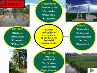 ¿Cómo?
Salidas
pedagógicas
vivenciales,
aplicadas a las
áreas del
conocimiento.
Matemáticas
*Fraccionarios
*Decimales
*Porcentaje
*Estadística
ESPAÑOL
*Redacción
*Exposición
*Investigación
*Lectura
*Gramática
NATURALES
*Impacto
ambiental
*Seres Vivos
*Ecosistemas
*Reproducción
SOCIALES
*Historia
*Ubicaciòn
*Economìa
*Poblaciòn
 