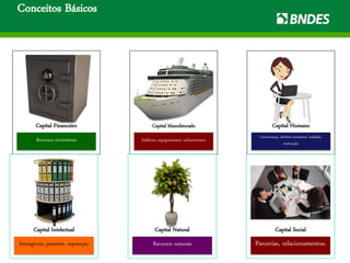 Conceitos Básicos
Recursos monetários
Capital Financeiro
Edifícios, equipamentos, infraestrutura
Capital Manufaturado
Governança, direitos humanos, lealdade,
motivação
Capital Humano
Intangíveis, patentes, reputação
Capital Intelectual
Recursos naturais
Capital Natural
Parcerias, relacionamentos,
Capital Social
 