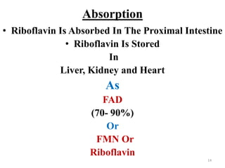 Absorption
• Riboflavin Is Absorbed In The Proximal Intestine
• Riboflavin Is Stored
In
Liver, Kidney and Heart
As
FAD
(70- 90%)
Or
FMN Or
Riboflavin
14
 