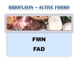 FMN
FAD
 