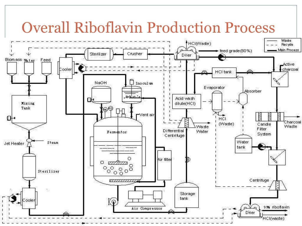 Riboflavin Production Biological Process