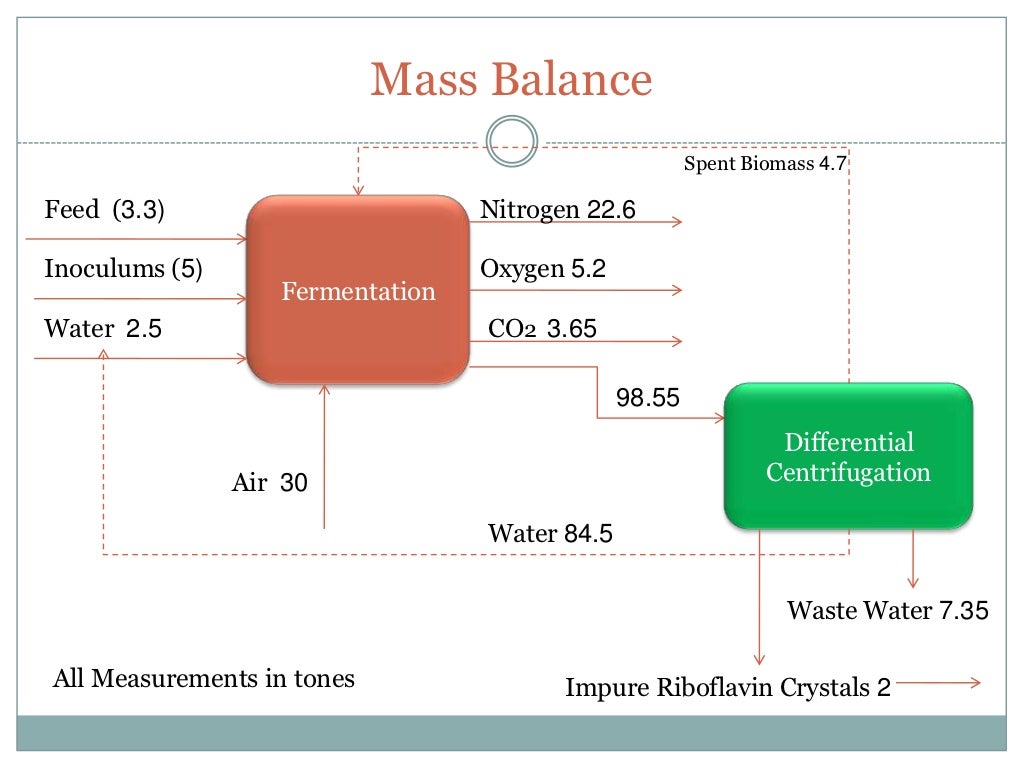 Riboflavin Production Biological Process