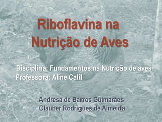 Riboflavina na
    Nutrição de Aves
Disciplina: Fundamentos na Nutrição de aves
Professora: Aline Calil

       Andresa de Barros Guimarães
       Clauber Rodrigues de Almeida
                                              1
 