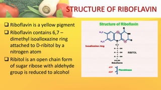 Riboflavin b2 | PDF