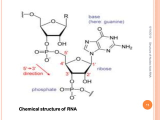 Chemical structure of RNA
6/19/2013StructureofNucleicAcid:RNA
11
 