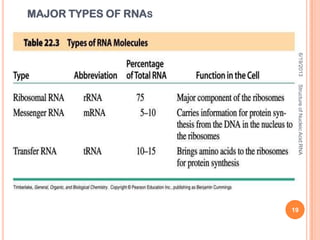 MAJOR TYPES OF RNAS
6/19/2013
19
StructureofNucleicAcid:RNA
 