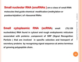 Small nucleolar RNA (snoRNAs ) are a class of small RNA
molecules that guide chemical modification (methylation or
puedouridylation ) of ribosomal RNAs
Small cytoplasmic RNA (scRNA) small (7S,129
nucleotides) RNA found in cytosol and rough endoplasmic reticulum
associated with proteins ,component of SRP (Signal Recognition
Particle ) that are involved in specific selection and transport of
secretory proteins by recognizing signal sequence at amino terminus
of growing polypeptide chain.
6/19/2013StructureofNucleicAcid:RNA
25
 