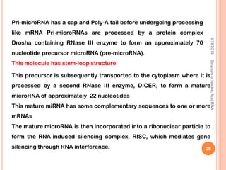 Pri-microRNA has a cap and Poly-A tail before undergoing processing
like mRNA Pri-microRNAs are processed by a protein complex
Drosha containing RNase III enzyme to form an approximately 70
nucleotide precursor microRNA (pre-microRNA).
This molecule has stem-loop structure
This precursor is subsequently transported to the cytoplasm where it is
processed by a second RNase III enzyme, DICER, to form a mature
microRNA of approximately 22 nucleotides
This mature miRNA has some complementary sequences to one or more
mRNAs
The mature microRNA is then incorporated into a ribonuclear particle to
form the RNA-induced silencing complex, RISC, which mediates gene
silencing through RNA interference.
6/19/2013StructureofNucleicAcid:RNA
29
 