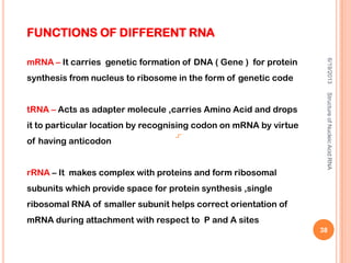 FUNCTIONS OF DIFFERENT RNA
mRNA – It carries genetic formation of DNA ( Gene ) for protein
synthesis from nucleus to ribosome in the form of genetic code
tRNA – Acts as adapter molecule ,carries Amino Acid and drops
it to particular location by recognising codon on mRNA by virtue
of having anticodon
rRNA – It makes complex with proteins and form ribosomal
subunits which provide space for protein synthesis ,single
ribosomal RNA of smaller subunit helps correct orientation of
mRNA during attachment with respect to P and A sites
6/19/2013StructureofNucleicAcid:RNA
38
 