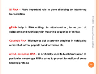 6/19/2013StructureofNucleicAcid:RNA
40
Si RNA – Plays important role in gene silencing by interfering
transcription
gRNA- help in RNA editing in mitochondria , forms part of
editosome and hybridize with matching sequence of mRNA
Catalytic RNA –Ribozymes act as protein enzymes in catalyzing
removal of intron, peptide bond formation etc
aRNA- antisense RNA - is artificially used to block translation of
perticular messenger RNAs so as to prevent formation of some
harmful proteins
 