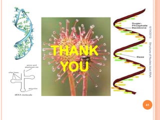 6/19/2013StructureofNucleicAcid:RNA
41
THANK
YOU
 