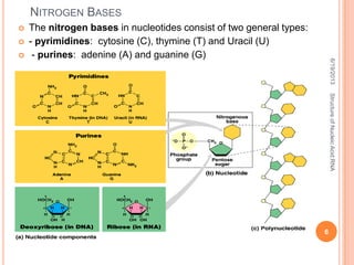 NITROGEN BASES
 The nitrogen bases in nucleotides consist of two general types:
 - pyrimidines: cytosine (C), thymine (T) and Uracil (U)
 - purines: adenine (A) and guanine (G)
6/19/2013
6
StructureofNucleicAcid:RNA
 