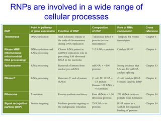 Ribonucleic acids molecular structures and functions.pptx