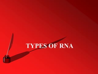 TYPES OF RNA
 
