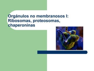 Orgánulos no membranosos I:
Ribosomas, proteosomas,
chaperoninas
 